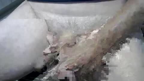 Snapshot of psfunman chatting on 13, 2, 2025 psfunman online show from 13, 2, 2025