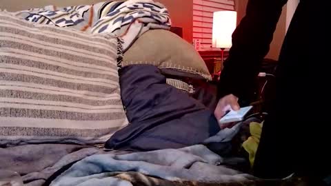 Snapshot of psilocipher chatting on 10, 2, 2026 Sk8wave online show from 10, 2, 2026