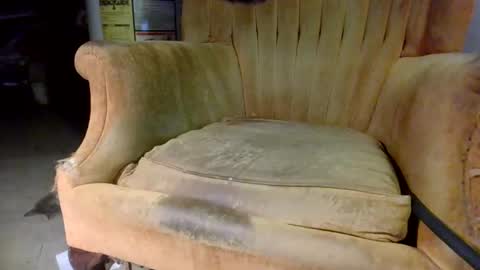 pspee313 online show from 31, 10, 2025