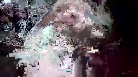 ptut82 online show from 28, 10, 2025