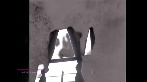 Snapshot of puddled_wonderland chatting on 6, 1, 2025 puddled_wonderland online show from 6, 1, 2025