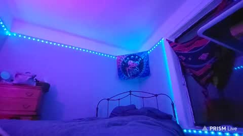 Snapshot of puddled_wonderland chatting on 29, 1, 2025 puddled_wonderland online show from 29, 1, 2025