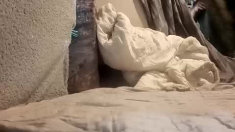 Snapshot of puffingoodtime8345 chatting on 20, 9, 2025 puffingoodtime8345 online show from 20, 9, 2025