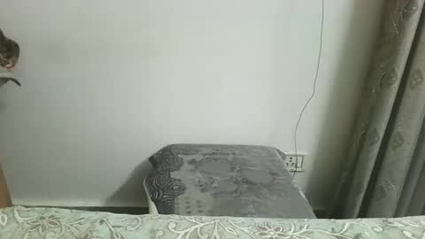 nutella online show from 13, 11, 2025