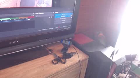 Pup Jake wants to play online show from 30, 11, 2025