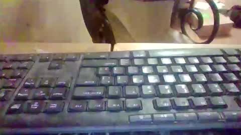 pup_y online show from 5, 1, 2026