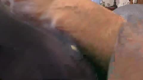 purdyguy7777 online show from 24, 2, 2026