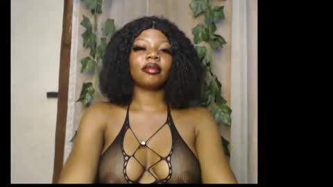 stella online show from 10, 2, 2026