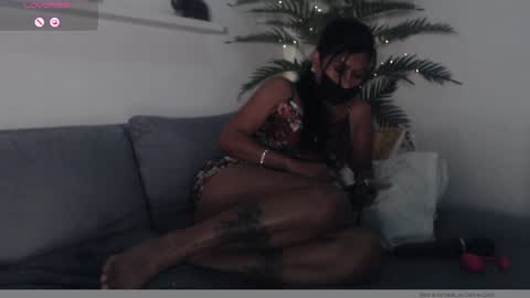  POCCA online show from 9, 1, 2025