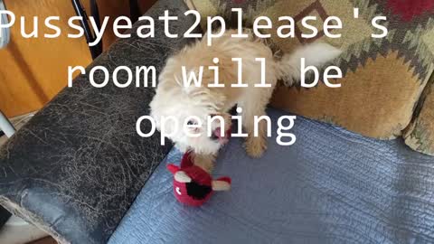 Rick online show from 8, 2, 2025