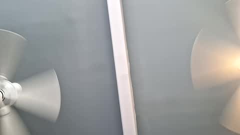 pussylicker517038 online show from 8, 9, 2025