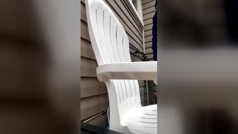 pyrex8 online show from 13, 1, 2026