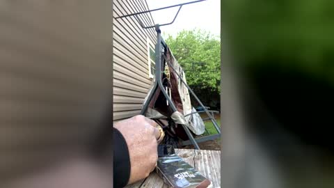 pyrex8 online show from 5, 4, 2026