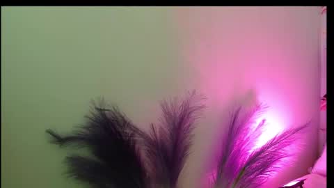 Snapshot of queen_rosee_ chatting on 25, 2, 2026 Queen Rosee online show from 25, 2, 2026