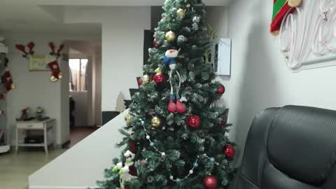 Snapshot of queen_zafiro88 chatting on 17, 11, 2025 Zafiro ILL BROADCAST UNTIL DECEMBER Onlyfans online show from 17, 11, 2025