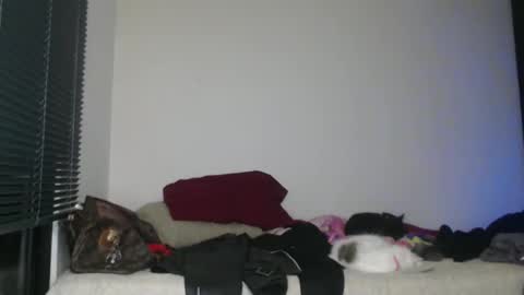 Nico online show from 2, 1, 2025