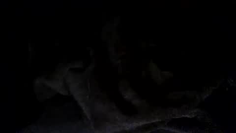 quincy joy11 online show from 2, 3, 2026