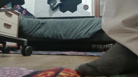 Raccoon68 online show from 20, 12, 2025