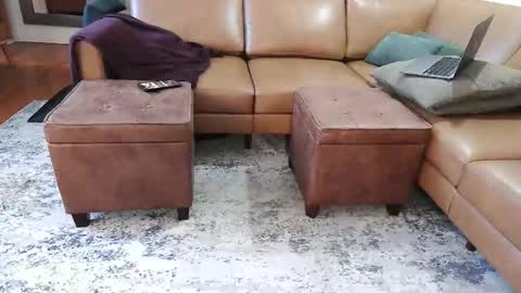 DressSock Shoe online show from 7, 2, 2026