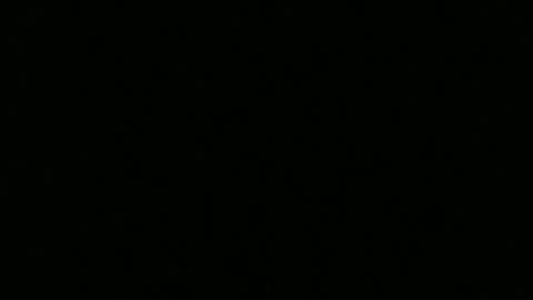 Snapshot of ragingcock315 chatting on 10, 12, 2024 hornybluecollar online show from 10, 12, 2024