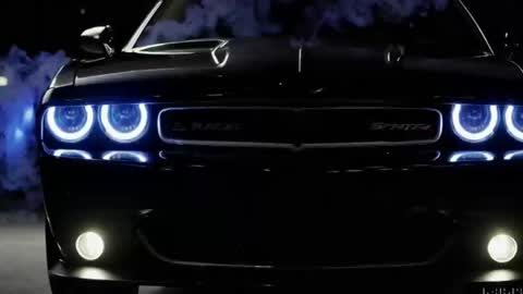 rah_8151 online show from 28, 12, 2024