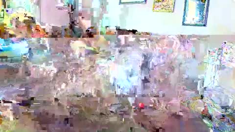 raiderred69 online show from 6, 2, 2025