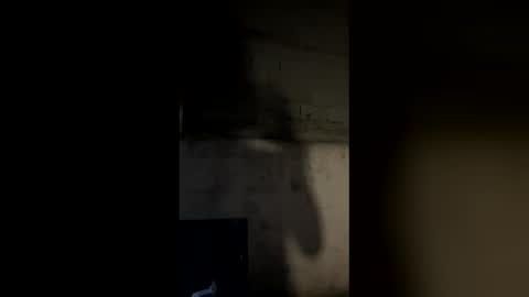 Snapshot of ramirozeus chatting on 1, 6, 2026 ramirozeus online show from 1, 6, 2026