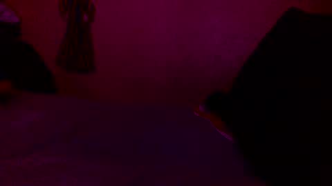 Snapshot of randobad12 chatting on 18, 1, 2025 randobad12 online show from 18, 1, 2025