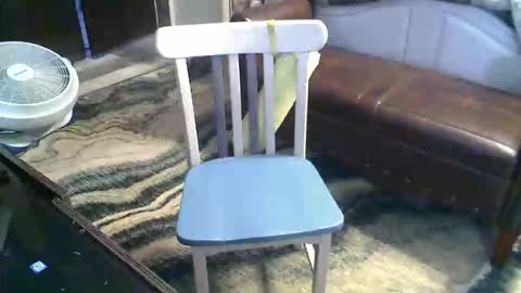 Randy8inbater online show from 23, 3, 2026