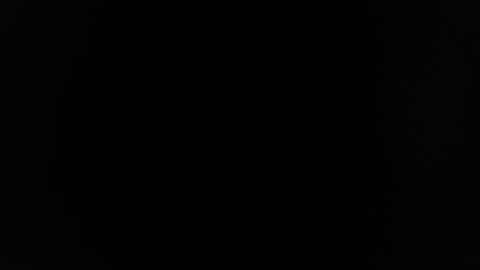 rayolex online show from 15, 2, 2025