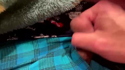 realbigload77 online show from 23, 12, 2025