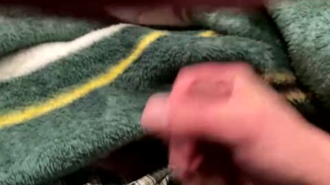 Snapshot of realbigload77 chatting on 24, 2, 2026 realbigload77 online show from 24, 2, 2026