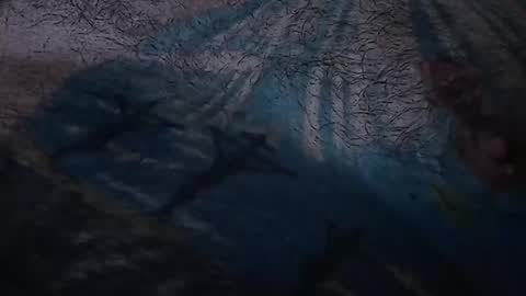 realrubpirate online show from 22, 3, 2026