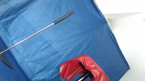 Rebeccalachaude online show from 11, 3, 2025