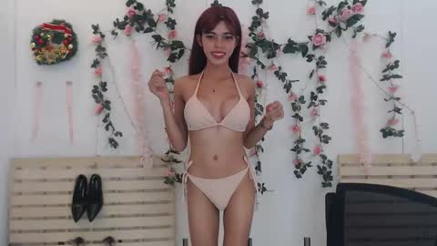 ann online show from 2, 11, 2025