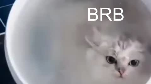 Snapshot of red_queeen chatting on 10, 1, 2025 QUEEN OF EVIL online show from 10, 1, 2025