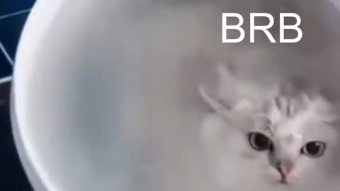 Snapshot of red_queeen chatting on 12, 1, 2025 QUEEN OF EVIL online show from 12, 1, 2025