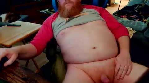 red_sea_bear online show from 27, 3, 2026