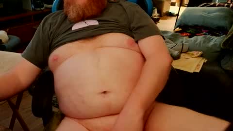 red_sea_bear online show from 28, 3, 2026