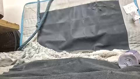 Snapshot of rednicedick chatting on 16, 10, 2025 rednicedick online show from 16, 10, 2025