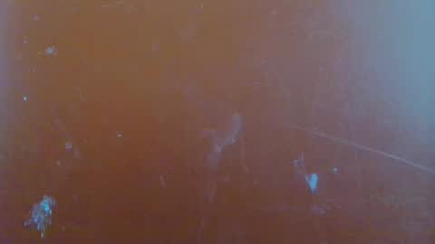 Snapshot of reina_paola chatting on 29, 1, 2025 paola online show from 29, 1, 2025