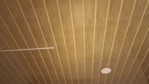 renaxi_smith online show from 17, 1, 2026