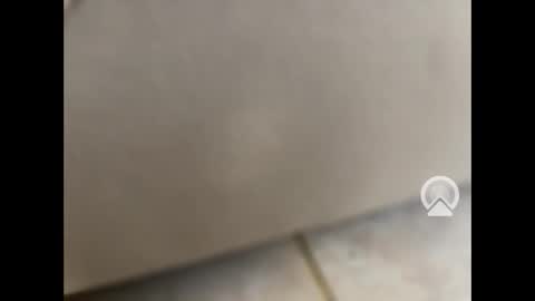 rgoggler2 online show from 28, 1, 2025