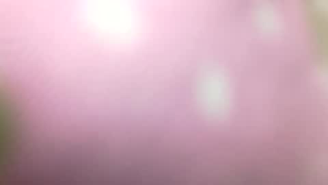 Snapshot of rhymes2479 chatting on 1, 1, 2025 Shaved cock ready online show from 1, 1, 2025