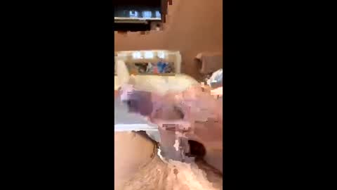 richmondal83 online show from 22, 10, 2025