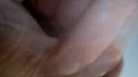Snapshot of ridik2222333375562 chatting on 13, 4, 2026 ridik2222333375562 online show from 13, 4, 2026