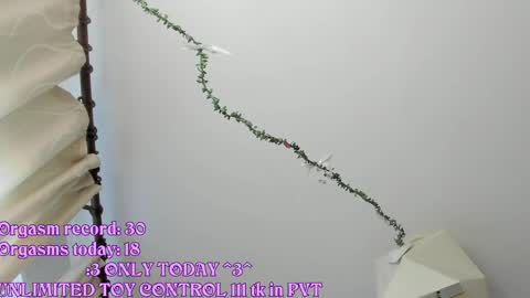 Snapshot of rileynymph chatting on 21, 5, 2026 My name is Riley Like my broadcast pls 3 online show from 21, 5, 2026