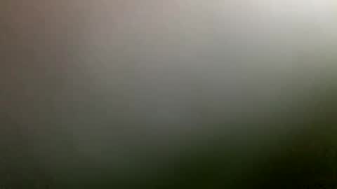 Snapshot of rimzari136 chatting on 4, 4, 2026 rimzari136 online show from 4, 4, 2026