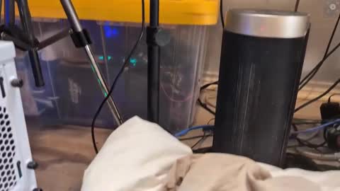 Ryan aka KeylimeRy online show from 11, 3, 2025