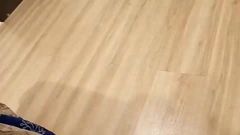 rockikoki online show from 16, 3, 2026